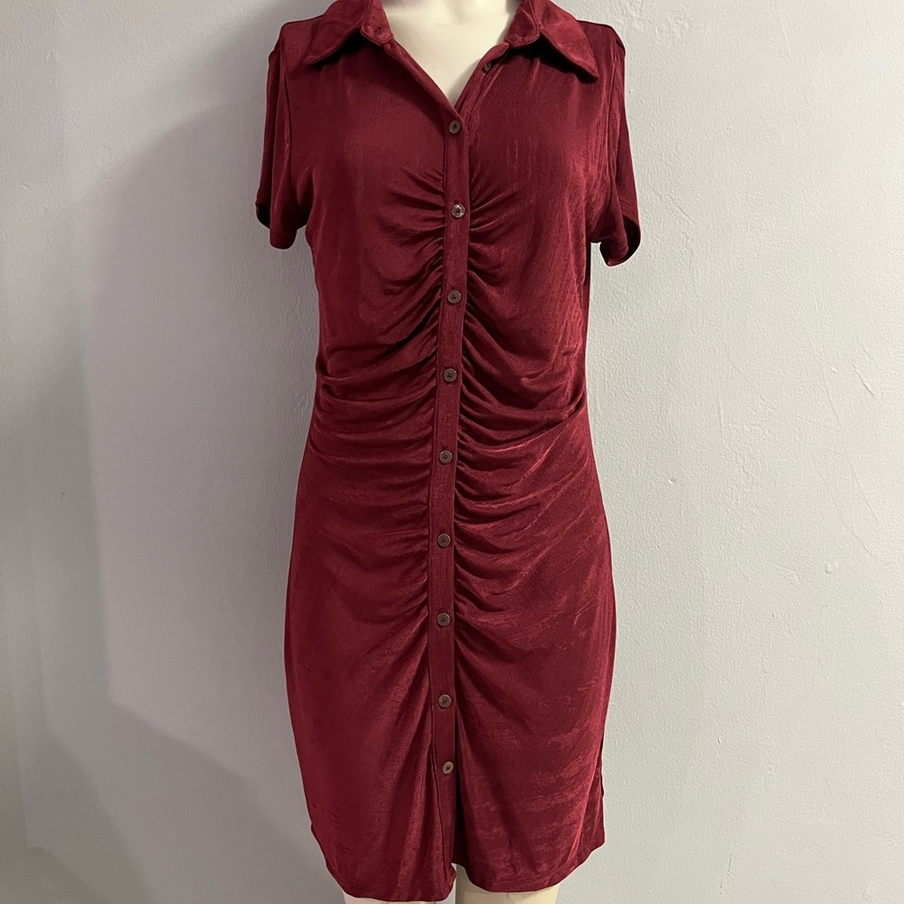 Wild Fable Medium Collared Burgundy Ruched Dress